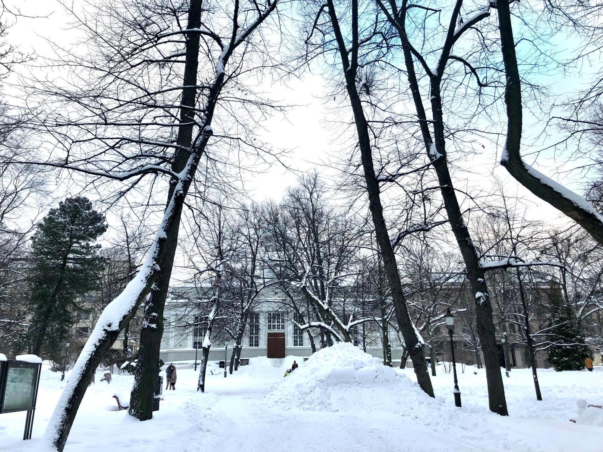 Scandinavian Home 21 In Heard City 赫尔辛基 外观 照片